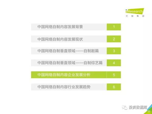 2017年中國網絡自制內容行業研究報告 數字內容制作服務